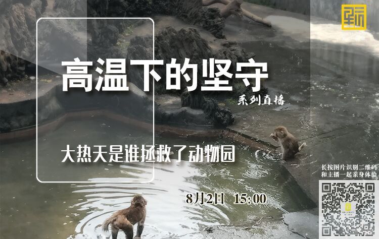 高温下的坚守——大热天是谁拯救了动物园